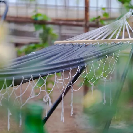 Paratiisi 캠프장 *