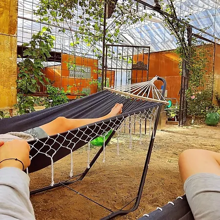 Paratiisi 캠프장 Jalist